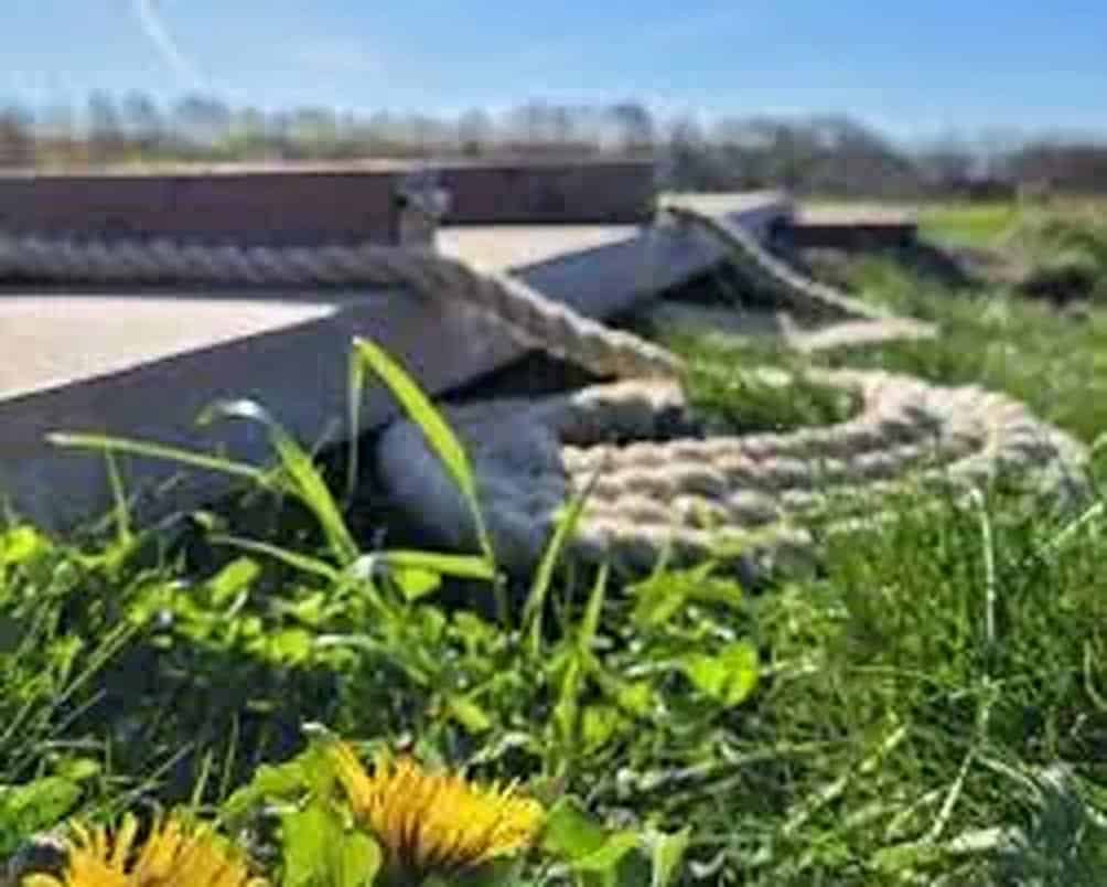 Afbeelding Natuurbegraafplaats Geestmerloo - Multi Uitvaartverzorging